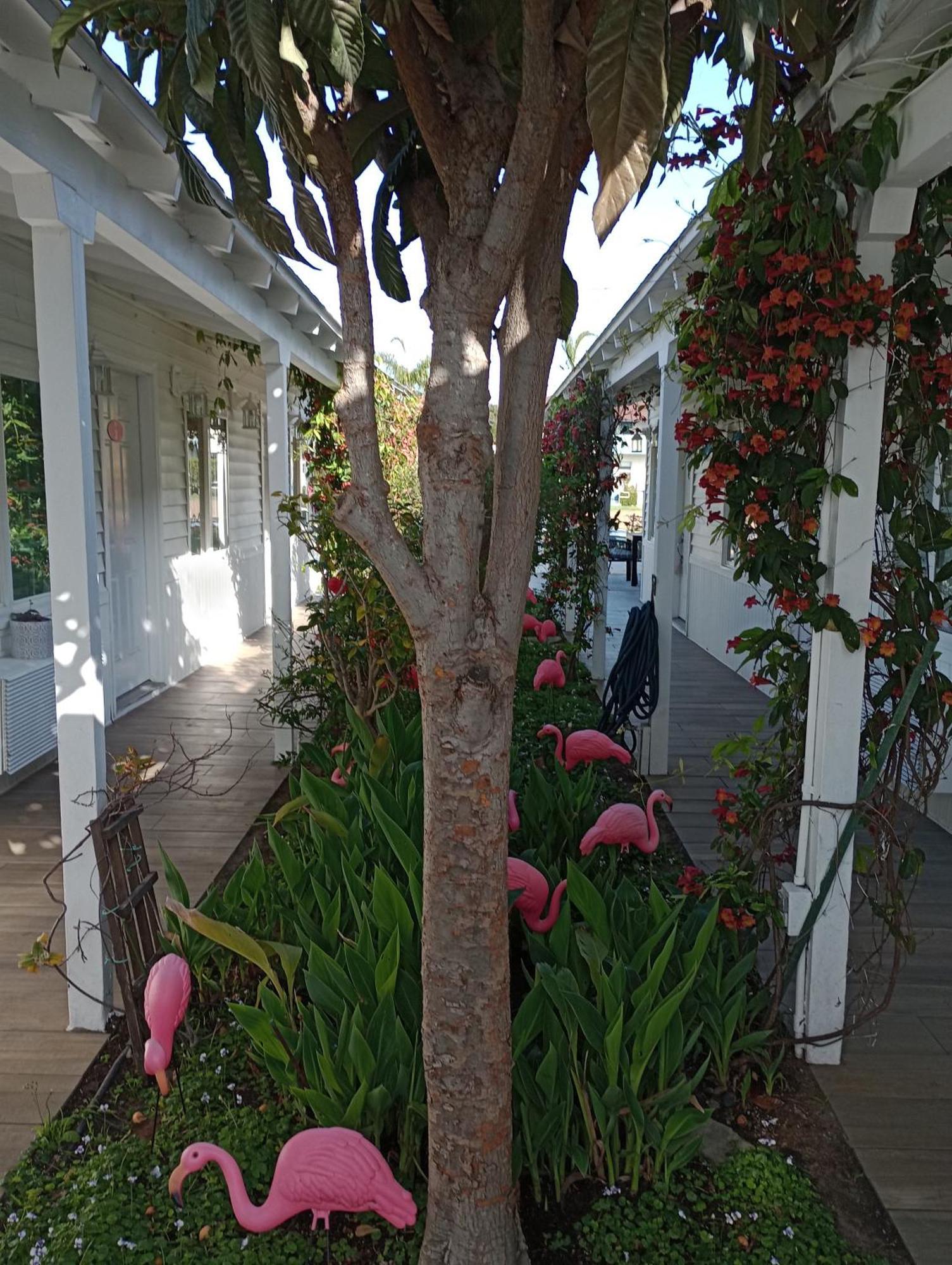 El Rancho Motel 3*
